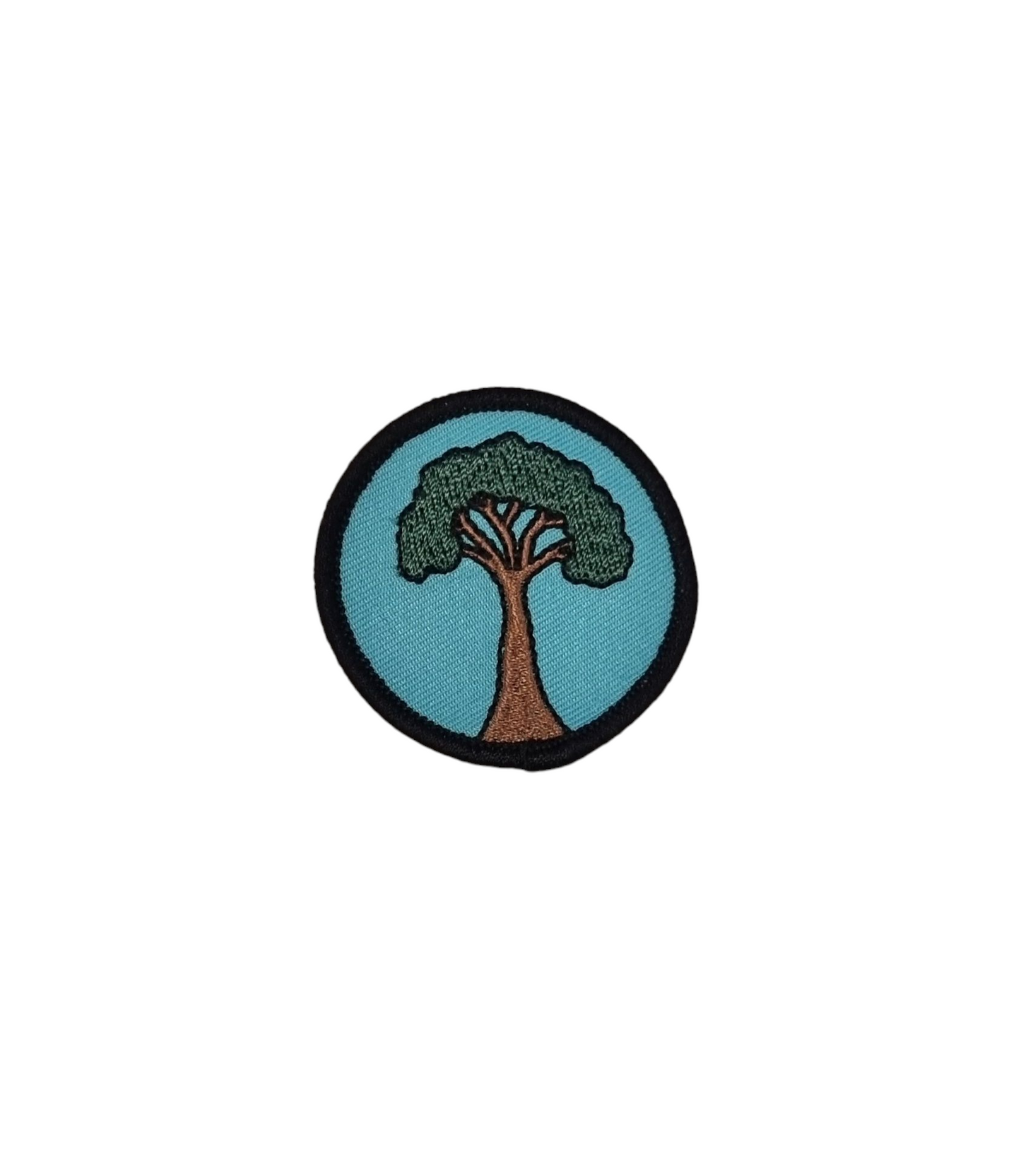 Eucalyptus Tree patch small size