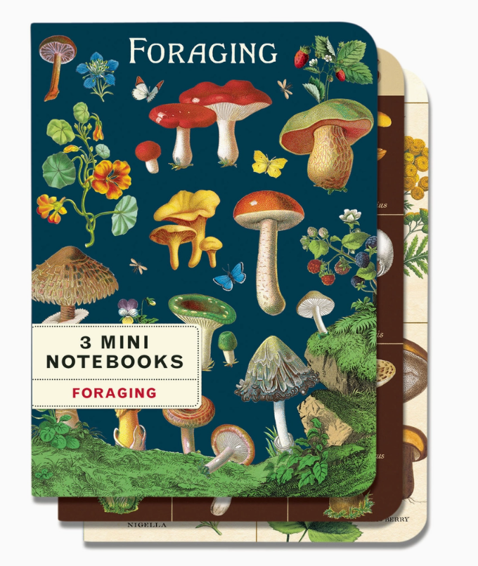 Cavallini - Mini Notebook Set