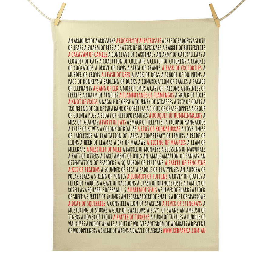 Collective Nouns Tea Towel