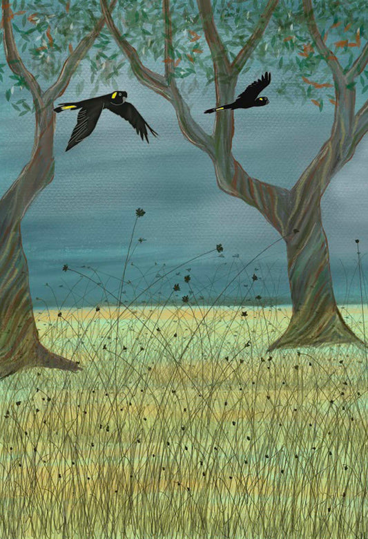 Yellow-tailed Black Cockatoos in Flight Card