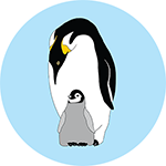 Emperor Penguin Bottle Opener Magnet