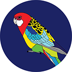 Eastern Rosella Bottle Opener Magnet