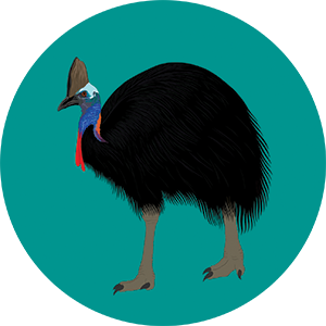 Cassowary Bottle Opener Magnet