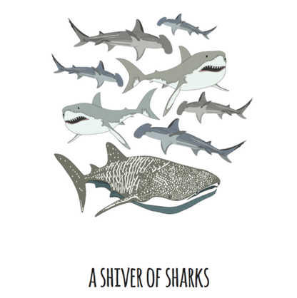 A Shiver of Sharks Art Print